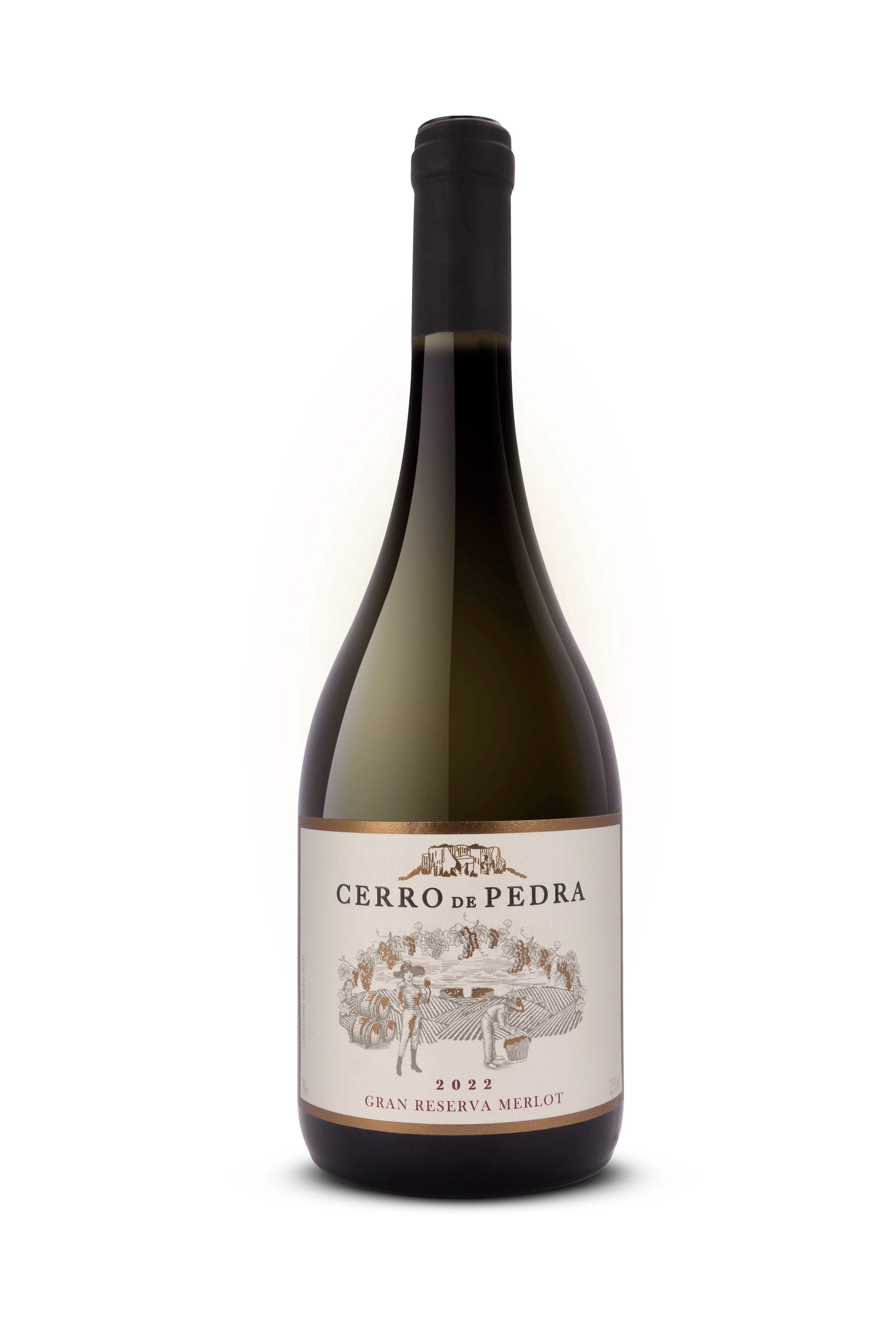 VINHO FINO TT SC - CERRO DE PEDRA MERLOT GRAN RESERVA 750ML - 2022